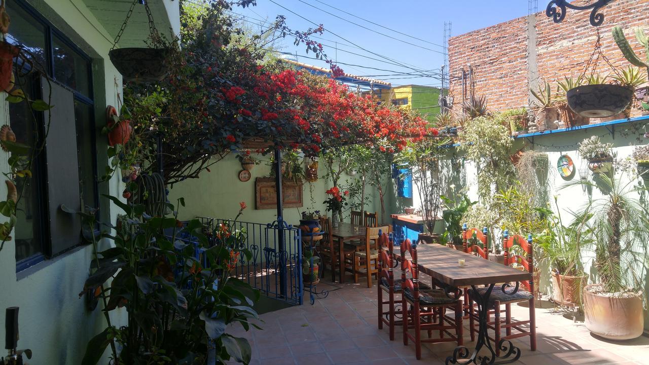 Casa Papaya San Miguel Hotel San Miguel de Allende Eksteriør billede